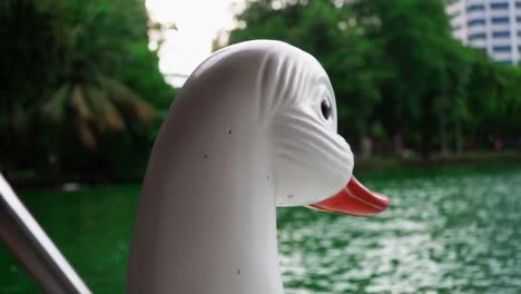 head of the swan-boats