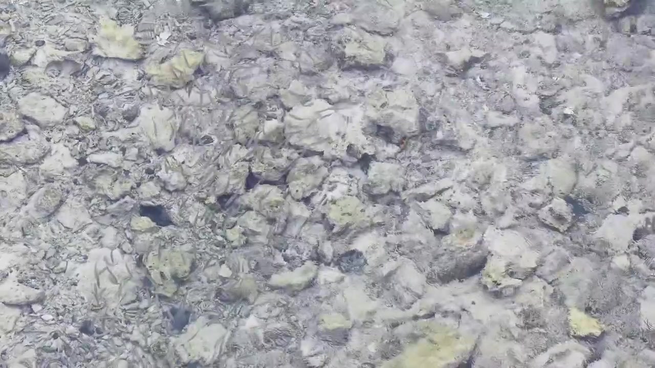 Static overhead shot of transparent turquoise water rippling over a rocky coral reef seabed