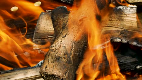 leña cortada. fuego en la leña, quemar leña picada en la chimenea. hoguera de fuego.