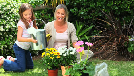 mother and daughter gardening