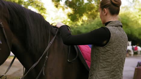 young attractive woman preparing dark brown horse for a dressage ride training. woman placing a pad blanket and saddle gently on