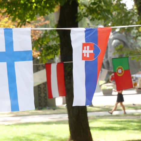 european flags on a rope