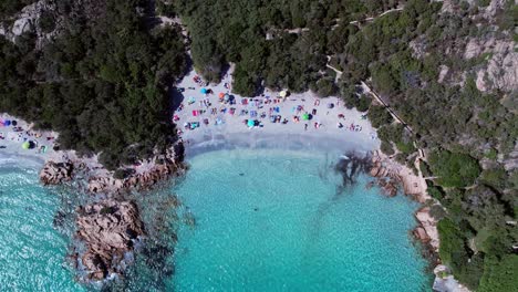 Familias-Disfrutando-En-Los-Arrecifes-De-Coral-De-Cristal-De-Capriccioli-Cerdeña-Italia