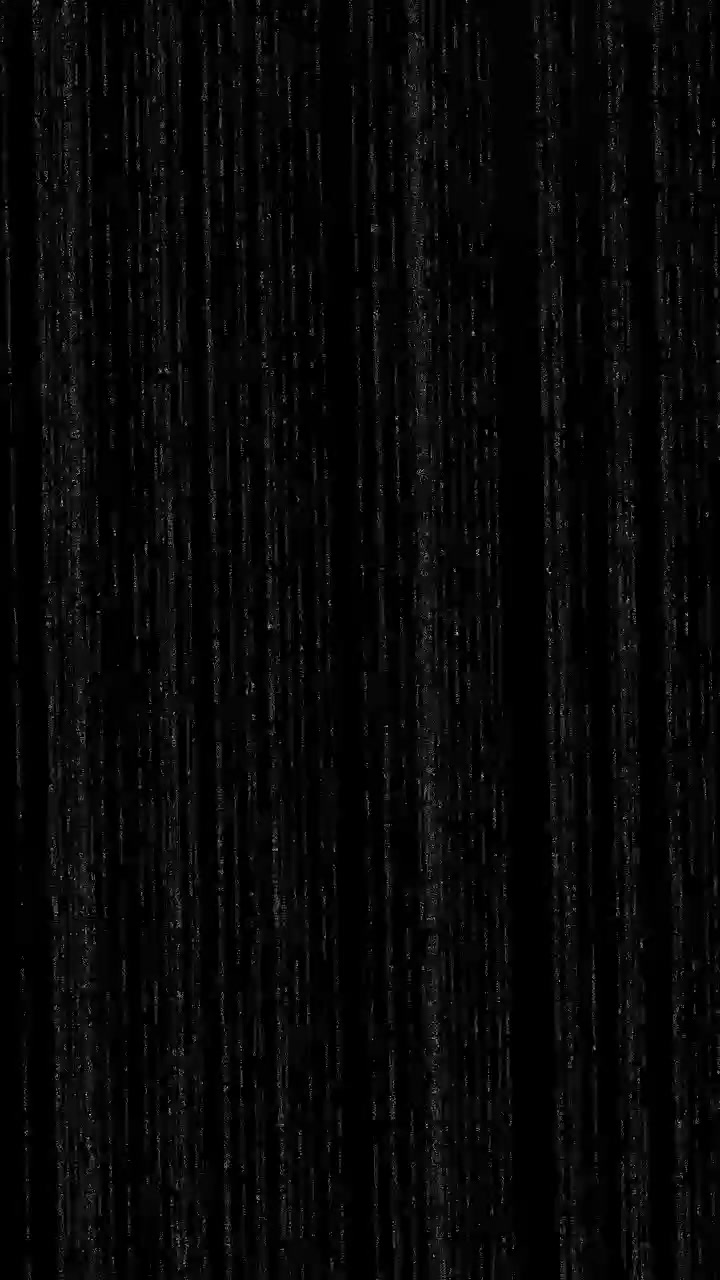 Abstract Vertical Lines of Light on Black Background
