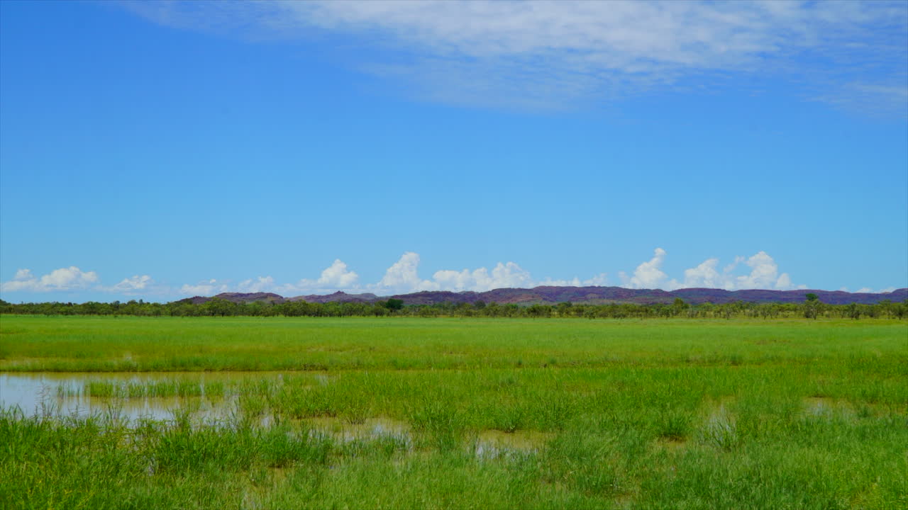 타임랩스 아웃백 호주 킴벌리스 푸른 하늘 녹색 젖은 비 시즌 아름다운 날 캠핑 와일드 바이 테일러 브랜트 필름