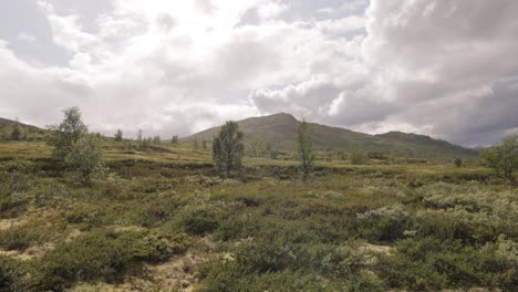 Lluvia-Sobre-La-Tundra-ártica.-Hermosa-Naturaleza-Noruega.