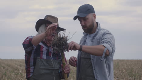 farmers arguing in agricultural field. grandfather and grandson having argument about harvest while standing in agricultural field in countryside together