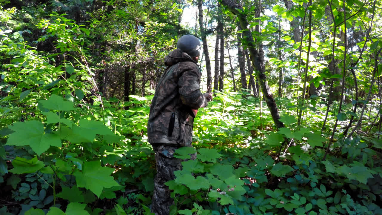 cazador masculino cazando en el bosque 4k