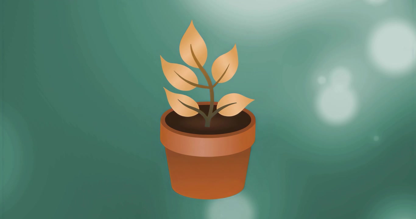 No início, pequena planta em vaso permanece imóvel enquanto luzes bokeh flutuam para criar um ambiente calmo.