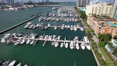 drone clip over rows of boats and yachts in miami marina, florida with tall apartment buildings along the shoreline and visible in the background