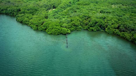 revealing aerial shot of rusty leaking pipe running into lake surrounded by mangroves, dumping sewage