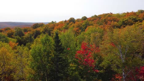 Vuelo-De-Drones-Fpv-A-Través-Del-Bosque-Con-Coloridas-Hojas-Otoñales-En-La-Reserva-De-Vida-Silvestre-La-Verendrye-En-Quebec,-Canadá