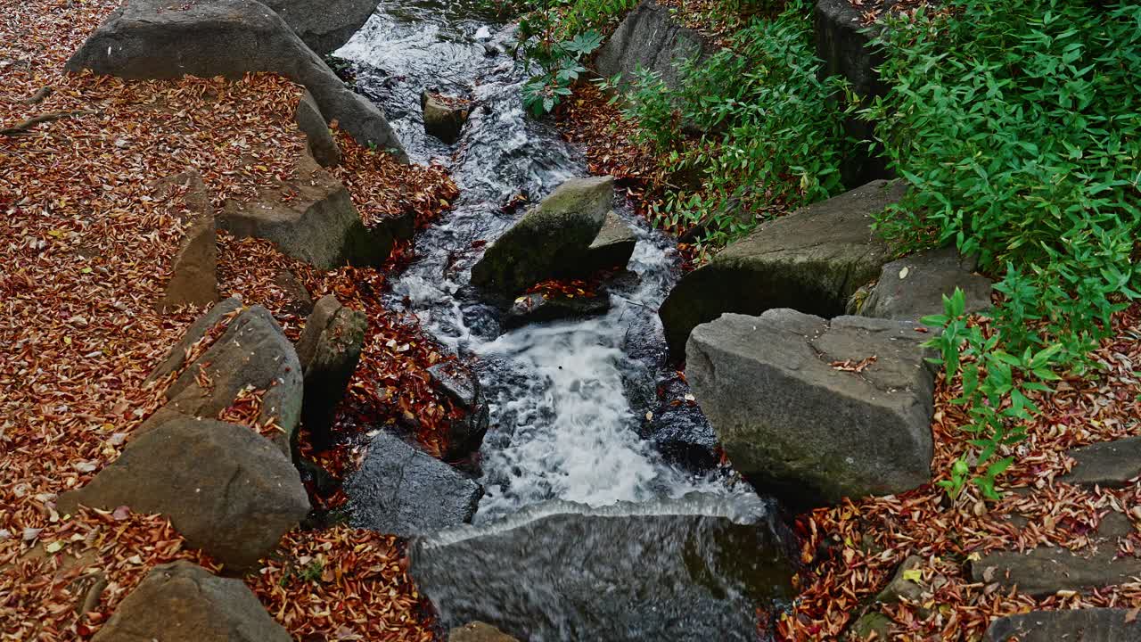 A dynamic nature shot of a mountain creek with white water rapids. Dark, wet rocks are surrounded by a vibrant blanket of fallen brown autumn leaves