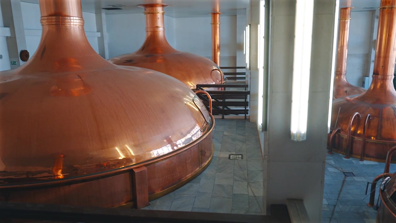 Wide view of the copper kettles of a historic brewhouse, with sunlight falling through tall windows