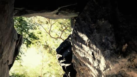 Toma-Tomada-Desde-El-Interior-De-Una-Pequeña-Cueva-Mirando-Hacia-Afuera