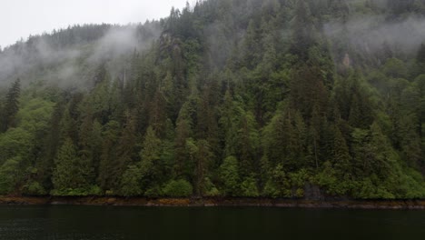 alaska misty fjords,
rudyerd bay