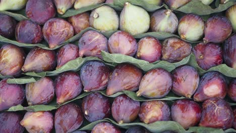 fresh figs in leaves