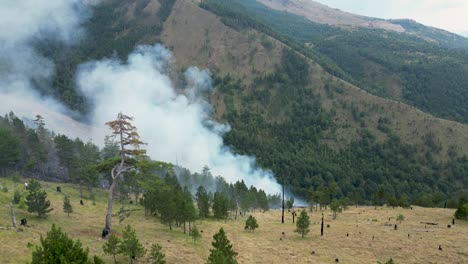 forest fire in a mountainous landscape