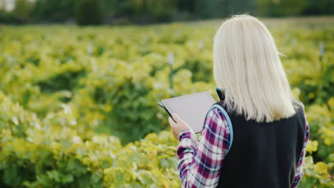 a satisfied female farmer uses a tablet near his garden evening before sunset