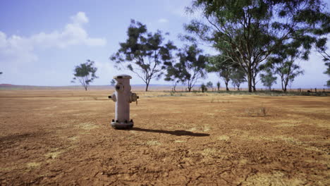 dry landscape with a fire hydrant under a clear sky