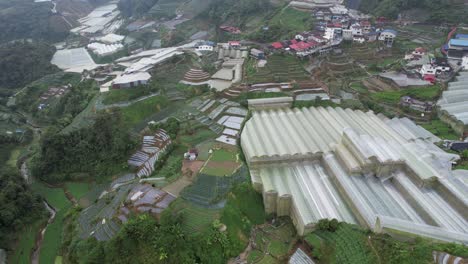 general landscape view of the brinchang district within the cameron highlands area of malaysia