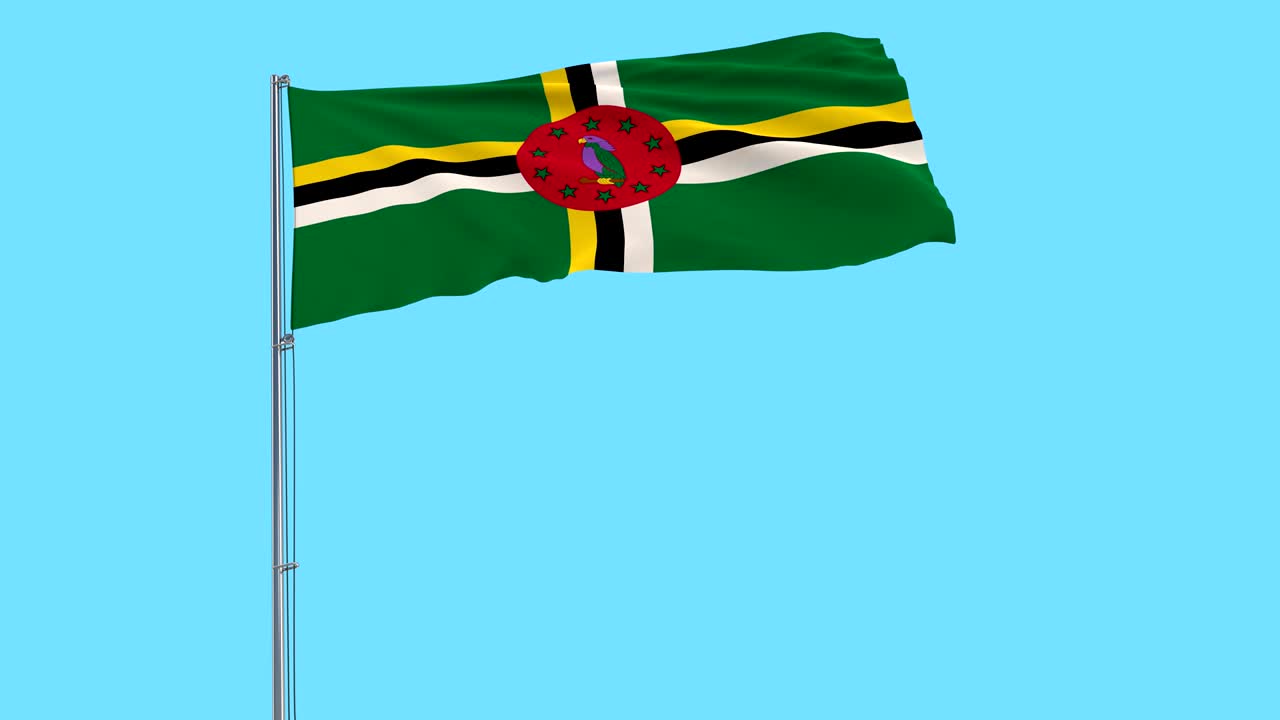 도미니카 연방의 발이 파란 바탕에 바람에 날아다니는 발 기둥에 3d 렌더링