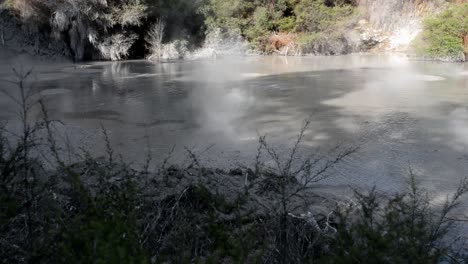 small bubbles and steam rising from the waiotapu hot mud pools during golden hour