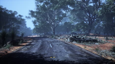 Camino-De-La-Selva-En-El-Parque-Baluran-En-Indonesia