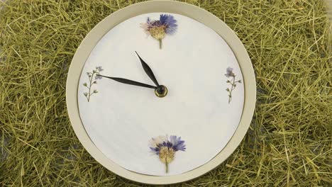 clock  and dry green grass