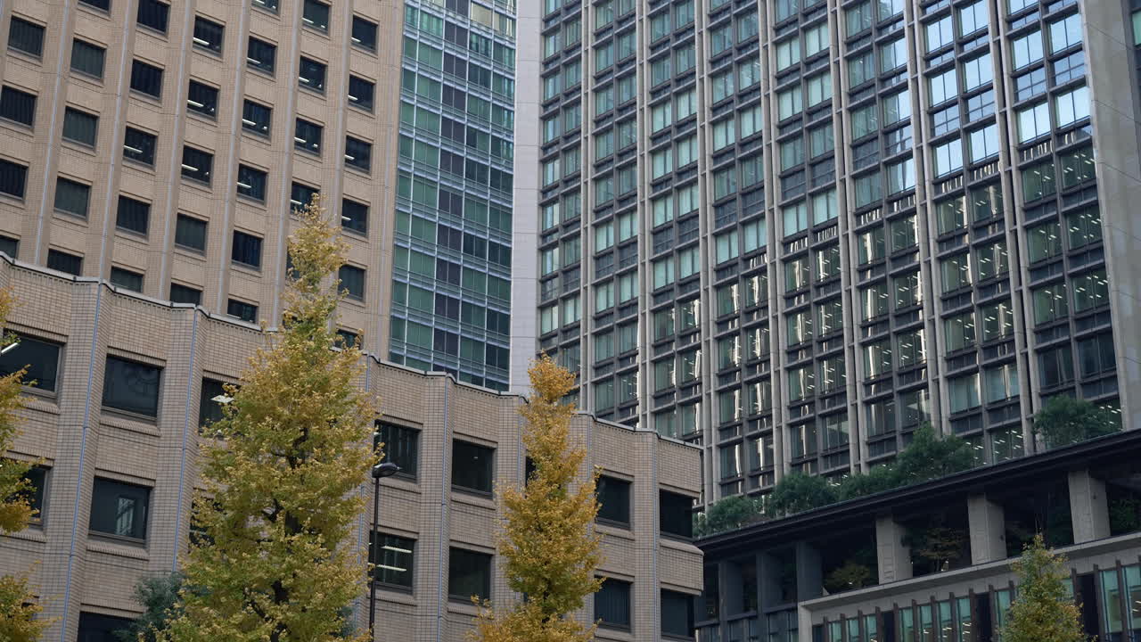 Moderni edifici per uffici di Tokyo circondati da alberi di ginkgo giallo vivace