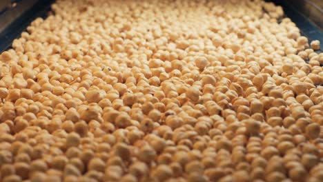 hazelnuts on the conveyor belt in hazelnut processing plant