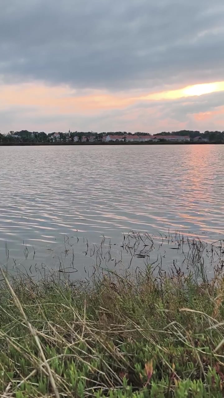 Lago calmo al tramonto con riva erbosa