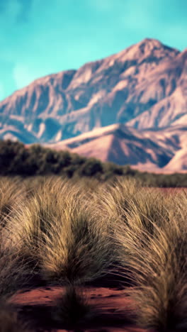 distant view of mountain range