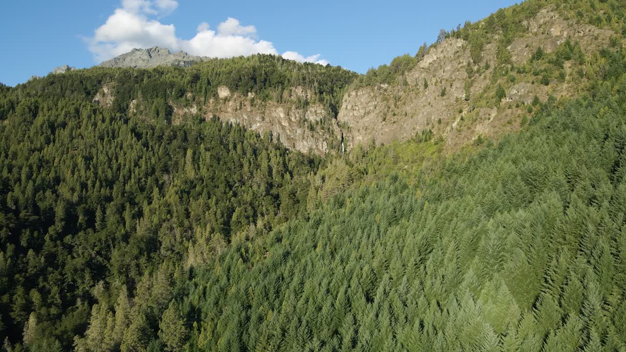 muñeca aérea sobre un bosque de cipreses y una cascada de corbata blanca escondida entre montañas, patagonia argentina