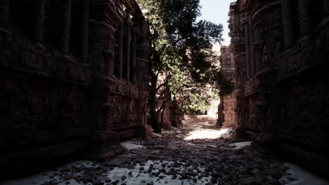 ruined temple in the jungle