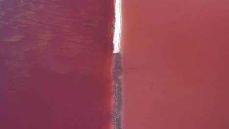 aerial view of red and pink pond waters in landscape of great salt lake utah usa on sunny summer day