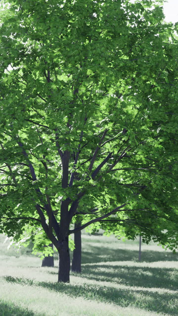 Lush green trees thrive in a vibrant landscape during daylight hours