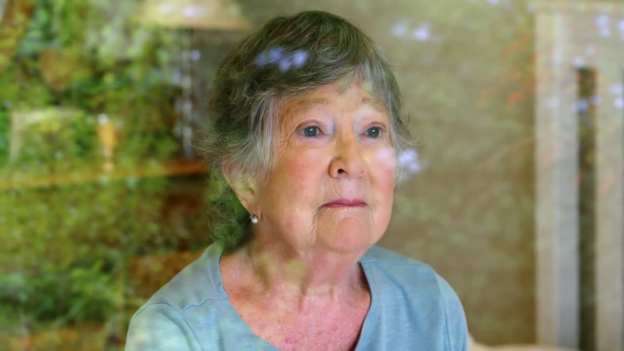 高齢の女性が自宅の窓から見ている 4k