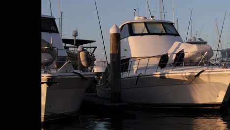 luxury yachts docked at a marina during sunset