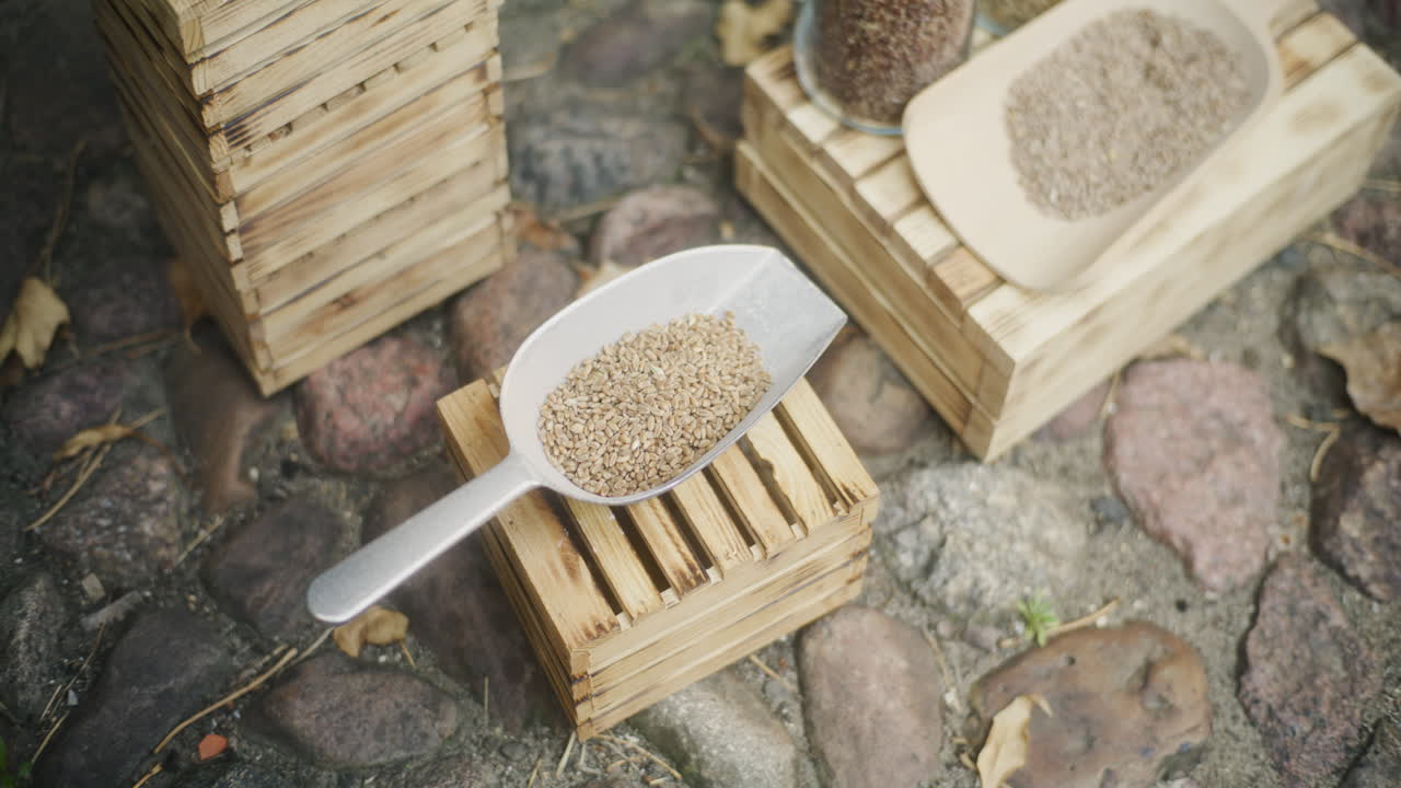 Grains and seeds in wooden crates