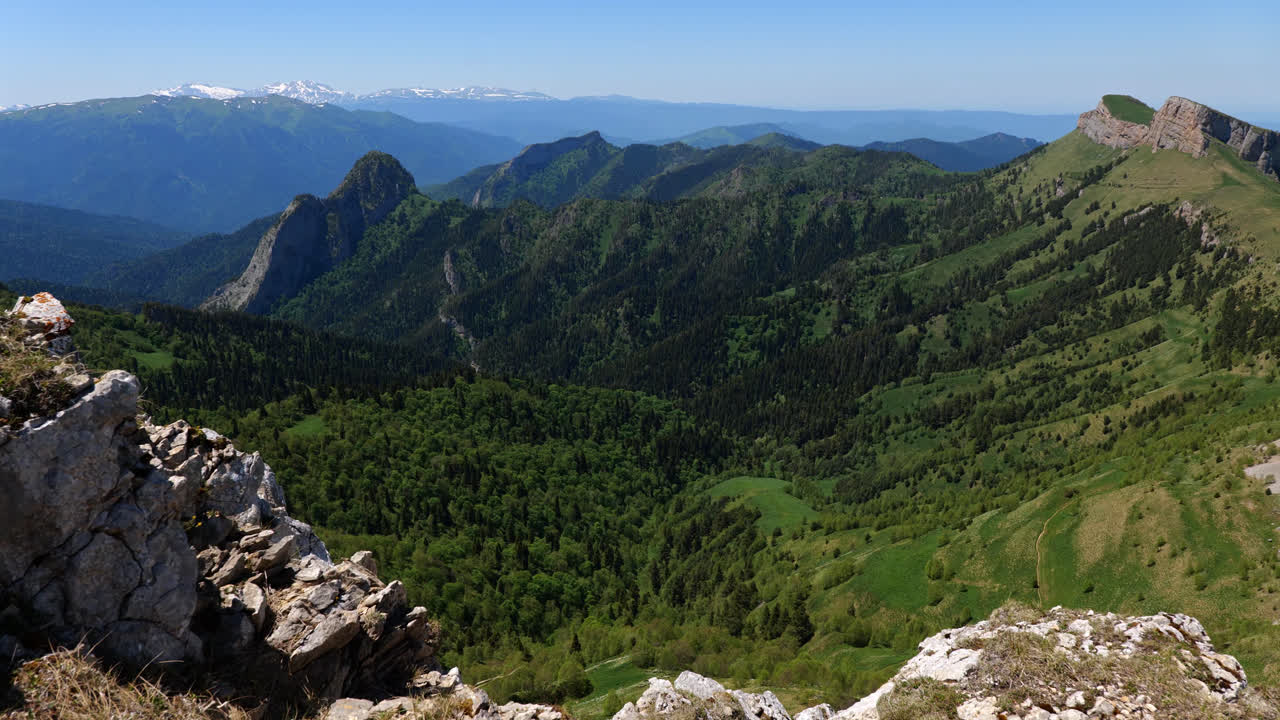 bosque de pinos verdes panorámicos de la montaña kavkaz en la cordillera del cáucaso