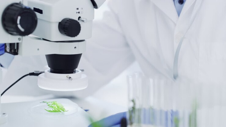 Scientist using a microscope in a laboratory setting