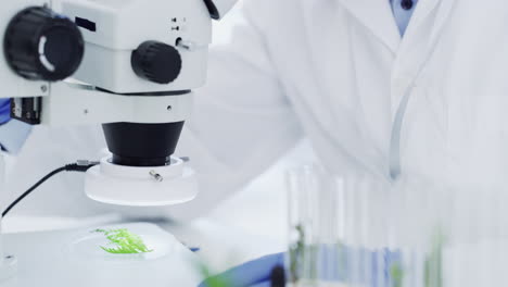 scientist using a microscope in a laboratory setting