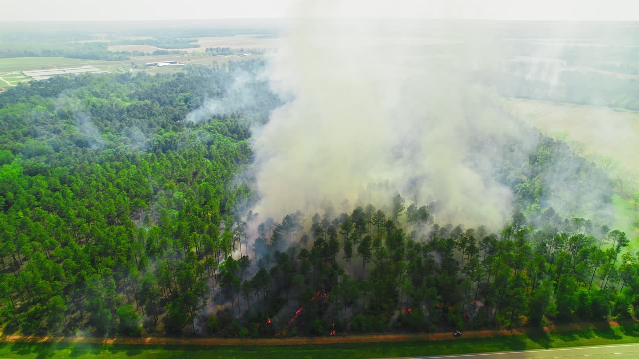 Fire and Smoke Near Georgia Road, Aerial View of Forest Blaze