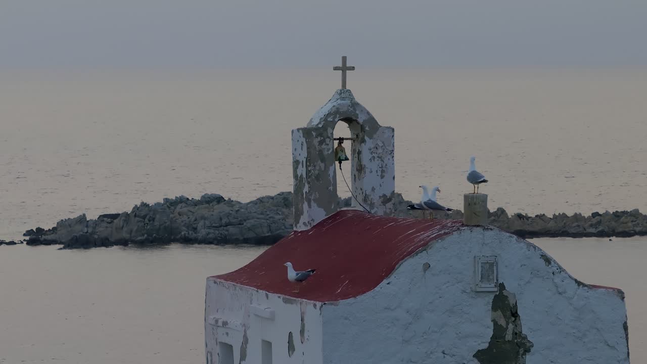 Seagulls on top of small island chuch in Greece at dusk