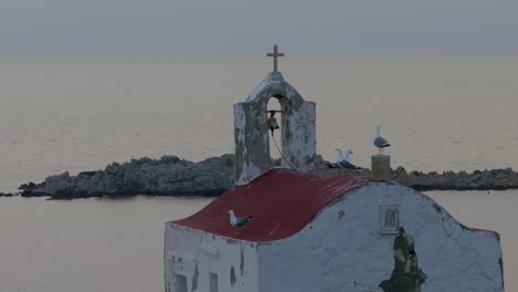 seagulls on top of small island chuch in greece at dusk