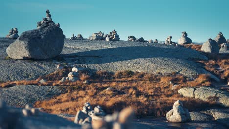 a stone garden in the stark nordic landscape