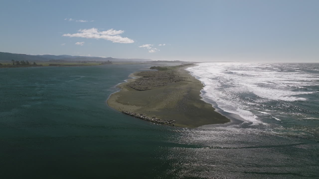 Aerial view of Smith River estuary in California, with sea lions and seals along the coast, captured from above