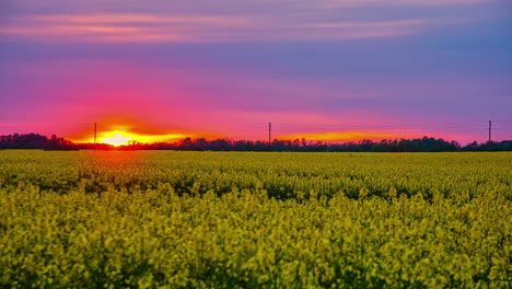 Bunter-Himmel-Und-Horizont-Bei-Sonnenuntergang-Von-Den-Rapsfeldern