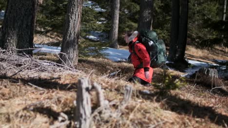 Medium-profile-follow-shot-of-man-walking-through-snowy-forest